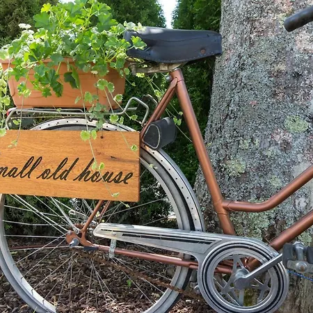 Small Old House Nedeščina
